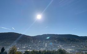 Les balcons de la haie griselle